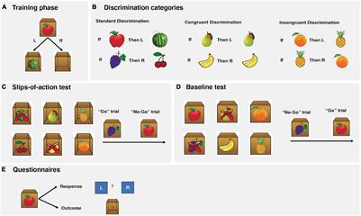 Impaired Formation and Expression of Goal-Directed and Habitual Control in Parkinson’s Disease